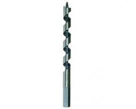 Hadovité vrtáky Oren