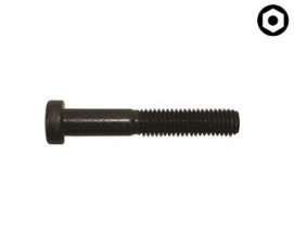 Pevnostní imbusové šrouby s nízkou hlavou DIN 6912 Ocel 10.9 Bez povrchové úpravy