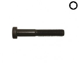 Imbusové šrouby s nízkou hlavou DIN 7984 Ocel 8.8 Bez povrchové úpravy