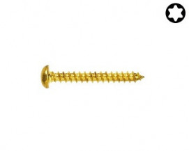 Univerzální vruty s půlkulatou hlavou Torx Ocel Žlutý zinek