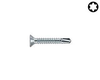 Zápustné vruty do kovu s předvrtáním Torx DIN 7504P Ocel Zinek bílý