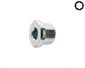 Vypouštěcí šrouby DIN 908 Ocel Zinek bílý