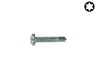 Vruty do kovu s předvrtáním Torx DIN 7504N Ocel Zinek bílý