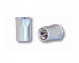 Částečně šestihranné nýtovací matice, otevřené s redukovanou hlavou Ocel Zinek bílý