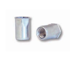 Částečně šestihranné nýtovací matice, otevřené s redukovanou hlavou pro palcové otvory Ocel Zinek bílý